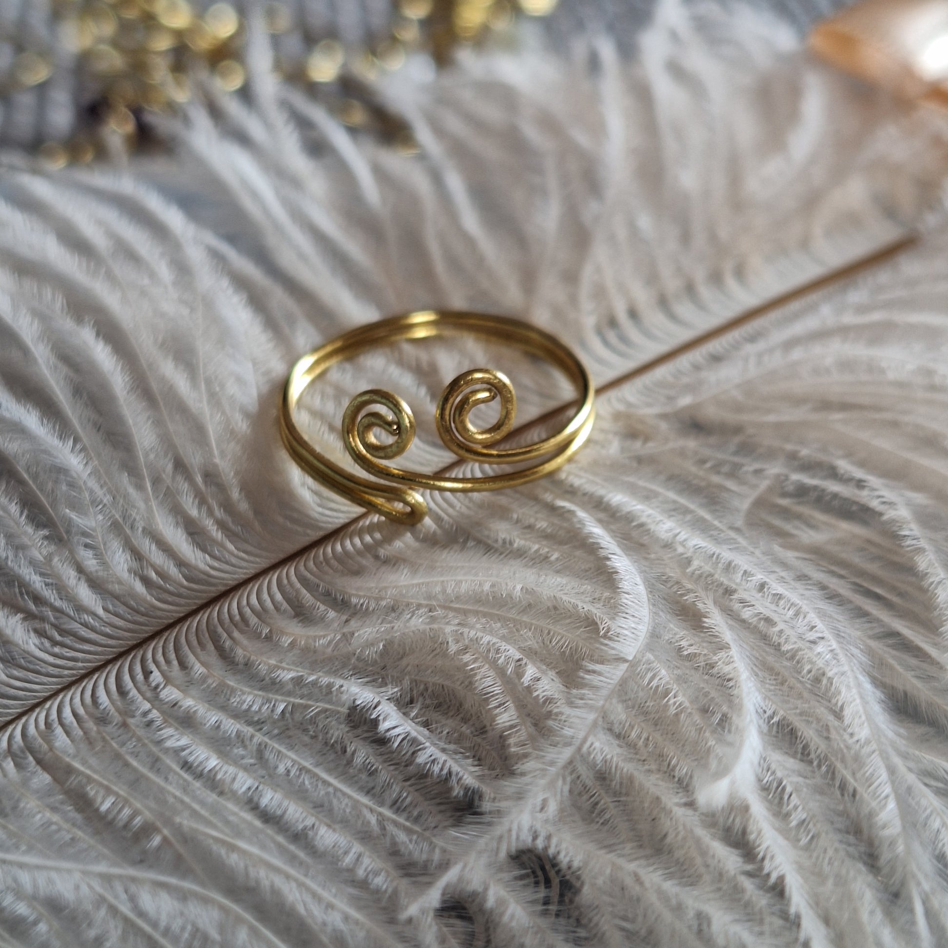 Anillo Alambrado