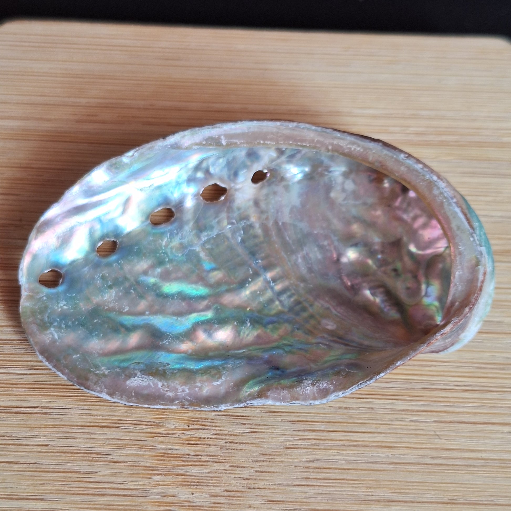 Abalone Shell