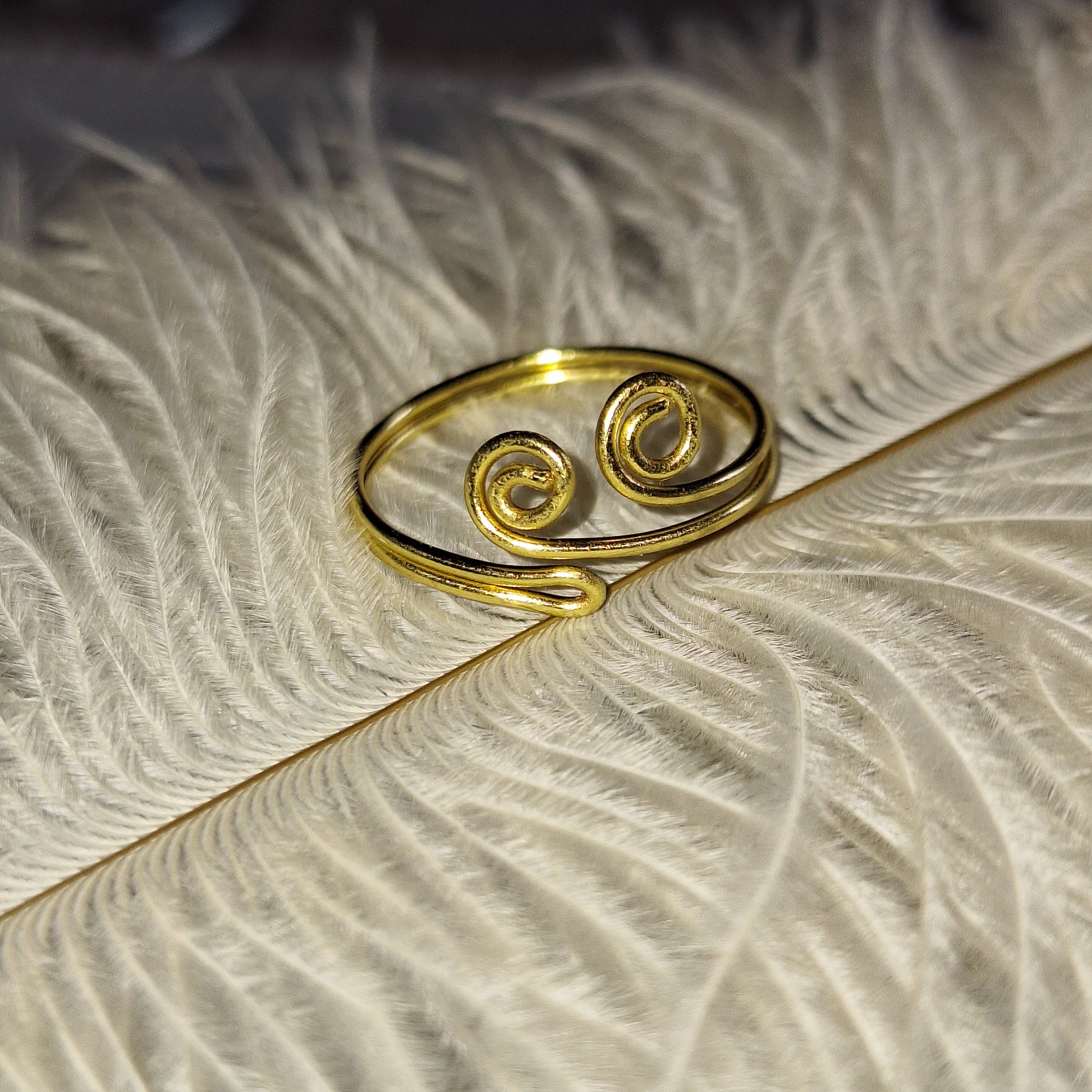Anillo Alambrado