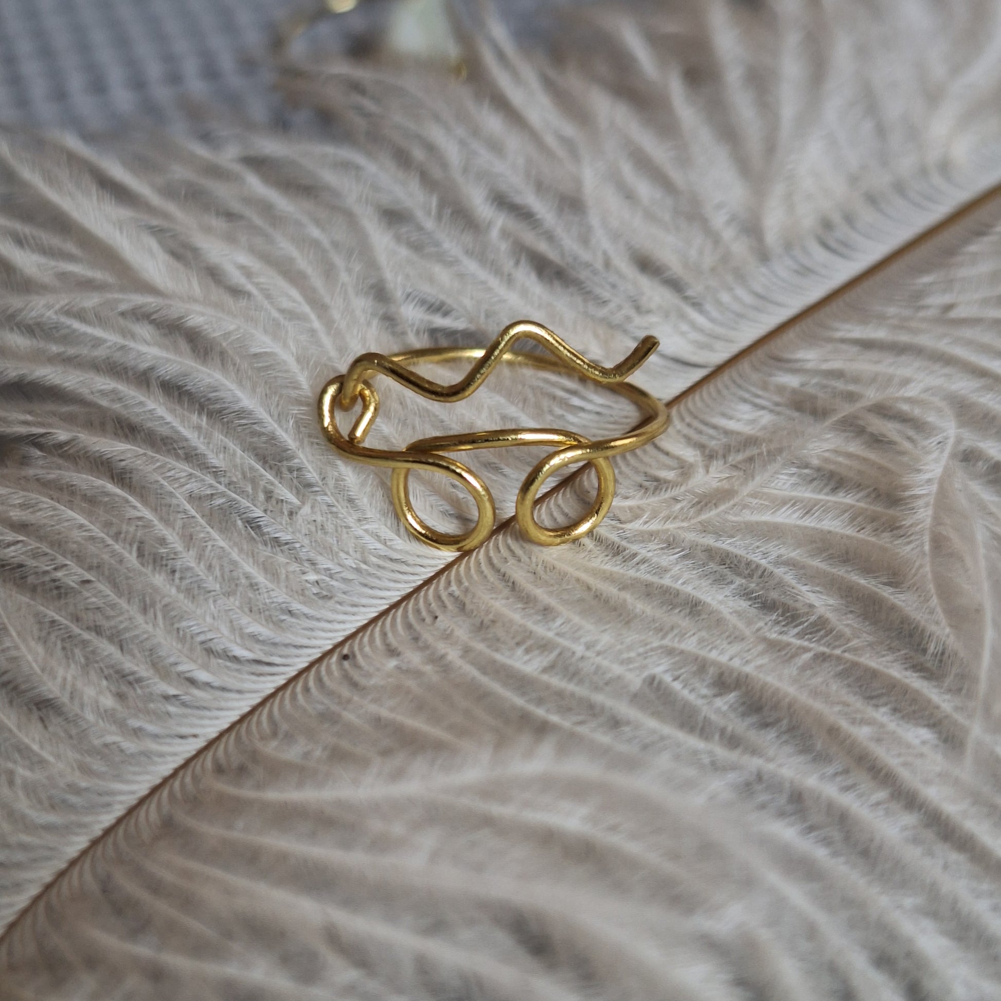 Anillo Alambrado